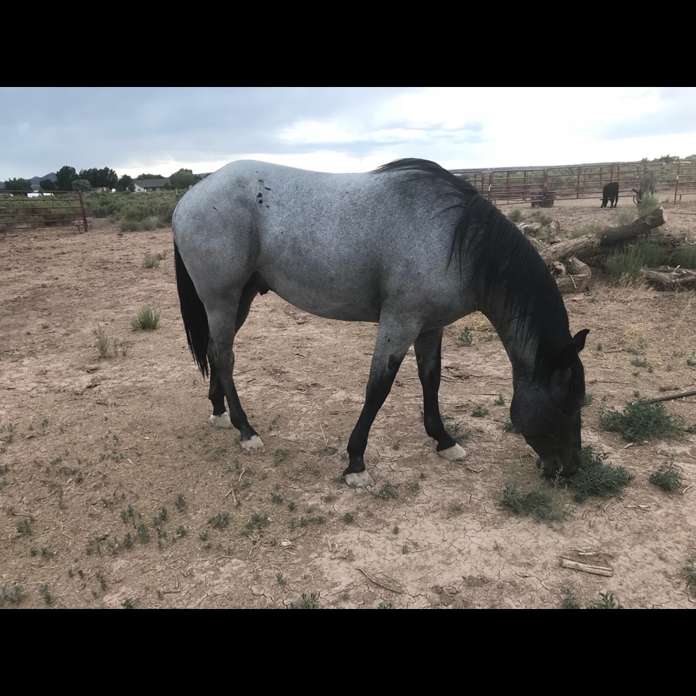 Meet your Posher, Makenzie